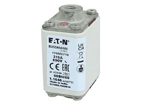 Bussmann 170M2719
