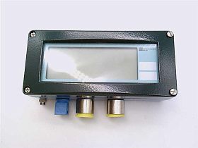 Индикатор поля R1A261-C2L Endress+Hauser