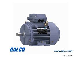 Marathon Electric R824