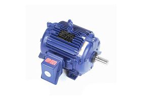 Marathon Electric 254TTTNA17077