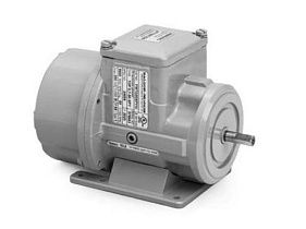 Baldor-ABB Motors FMTG50XPYIV