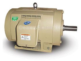 Marathon Electric 444TTDS4086