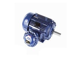 Marathon Electric 405TTGS16539