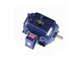 Marathon Electric 256TTTNA18578