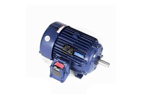 Marathon Electric E506