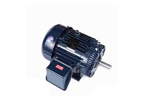 Marathon Electric E212