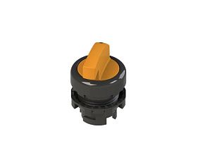 Pizzato E2 1SL22AVD81AB