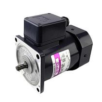 Электродвигатель S9I90GTH-TCE трехфазный индукционный с редуктором 12.5:1 230В SPG