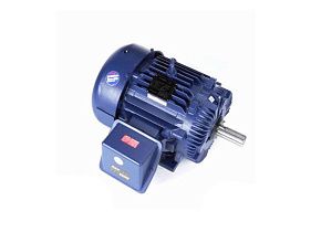 Marathon Electric U877A