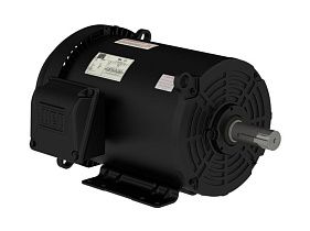 WEG Electric 00718ET3E213T-S