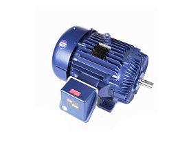 Marathon Electric E613