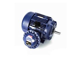 Marathon Electric 364TTGS16537