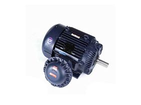 Marathon Electric 365TTGS16542