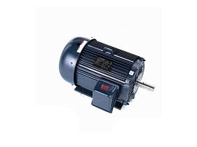 Marathon Electric E2120