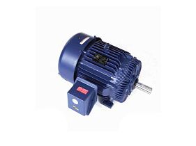 Marathon Electric U875A