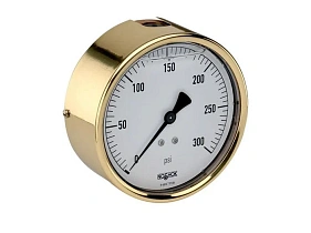 NOSHOK 40-310-30/160-psi/bar