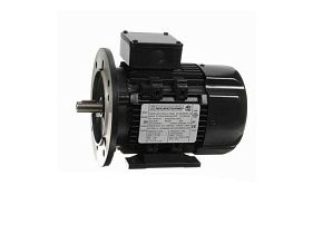 Marathon Electric R391