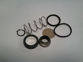 BF501C1-316 Ремонтный комплект для насоса от SUEZ