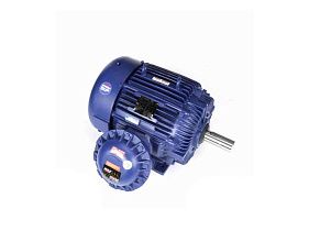 Marathon Electric 404TTGS6588