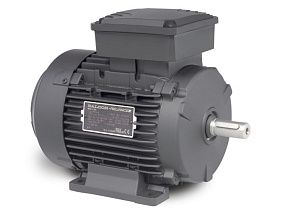 Baldor-ABB Motors MM5350