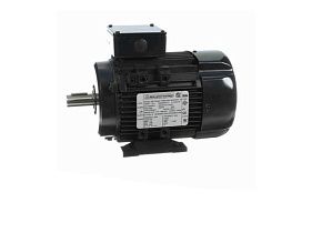 Marathon Electric R416A