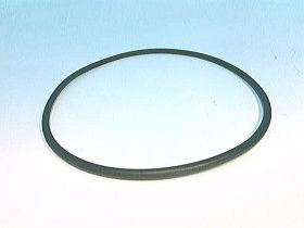 Уплотнительное кольцо N70249 BUNA для крышки насоса Waukesha