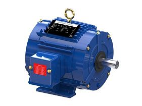 Marathon Electric 184TTTS18577