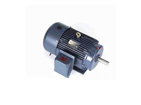 Marathon Electric GT1125