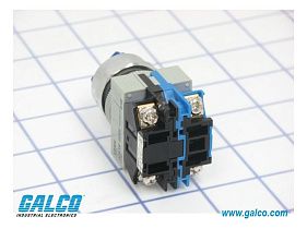 IDEC ASLW29910D-S-120V