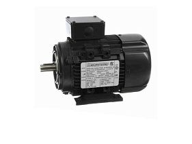 Marathon Electric R365