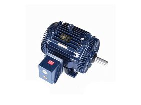 Marathon Electric 326TTTS16533