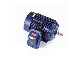 Marathon Electric 286TTGN6537