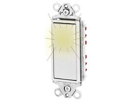 Bryant Electric 9901GLW