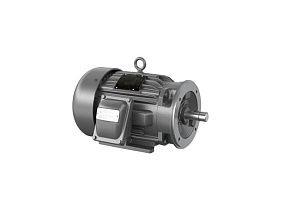 Baldor-ABB Motors CCPX18546T
