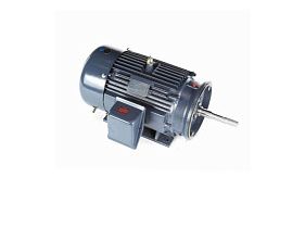 Marathon Electric GT3531