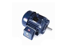 Marathon Electric 364TTFS9234