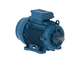 WEG Electric E01818EP3Y160LF3-W22