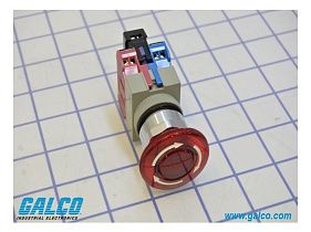 IDEC AVLW49911DN-R-120V