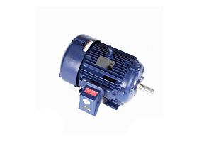 Marathon Electric W551