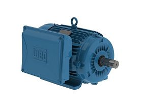 WEG Electric 00718ES1E215T-W22