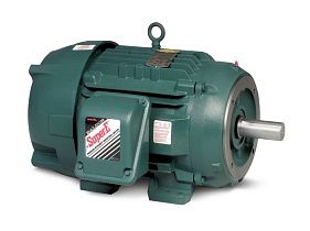 Baldor-ABB Motors CECP3664T
