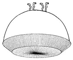 APPLETON ELECTRIC BJ9PKY