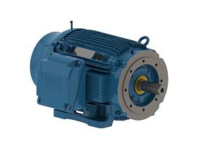 WEG Electric 04009ST3QIE365TC-W22