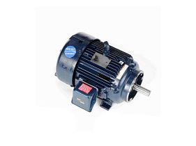 Marathon Electric 254THFNA8038