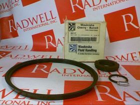 Уплотнение Артикул WCB60117FT от производителя SPX