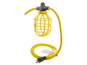 Bryant Electric BRY142SJ100PS