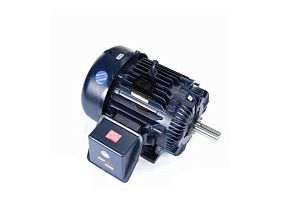 Marathon Electric 364THFS8036