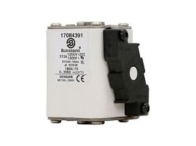 Bussmann 170M4391