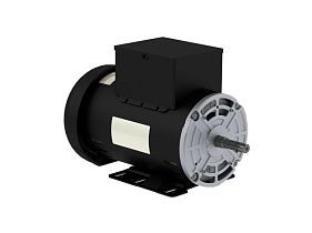 WEG Electric 00536OS1DCD56H-S