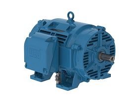 WEG Electric 10036OT3E365TS-W40